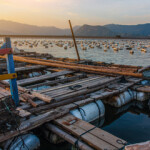 China’s output from its distant-water fleet contracted 3 percent in 2021, totaling 2.24 million metric tons (MT), or 3.3 percent of the country’s overall seafood output.