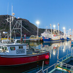 Newfoundland and Labrador Minister of Environment and Climate Change Bernard Davis announced the launch of an independent review on how the Canadian province sets prices for seafood, as conflicts between fishermen and processors in the region have continued to sharpen.