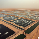 A shrimp aquaculture facility in Oman.