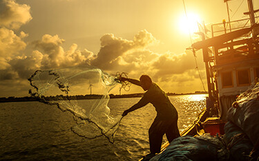 A fisherman throws a net off a crab boat in Vietnam.