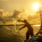 A fisherman throws a net off a crab boat in Vietnam.
