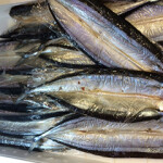 The Japan Fisheries Agency is forecasting a poor catch for the August-December 2022 Pacific saury season in east Hokkaido and NE Honshu Island – though it is expected to exceed that of 2021.