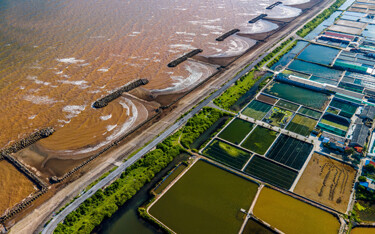 A downturn in June sales marked the first monthly decline Vietnam’s shrimp exports in 2022.