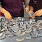 Eastern Fish Company workers examine shrimp set on a stainless steel table.