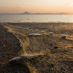 Commercial beach nets set for salmon along the Cook Inlet near Kenai City, Alaska