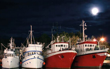 A row of fishing vessels lined up at night.