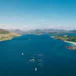 A salmon farm near Galway, Ireland.
