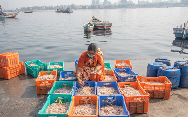 A woman sorting shrimp on a pier in India.