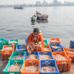 A woman sorting shrimp on a pier in India.