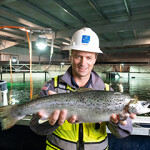 An Atlantic Sapphire employee holding a salmon.
