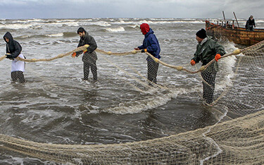 A group of Iranian workers pull on a net.