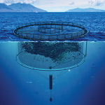 A rendering of Innovasea's new submersible fish pen dubbed the "SeaProtean Pen."