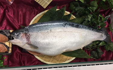 A Donaldson trout produced by Okumura Foods.