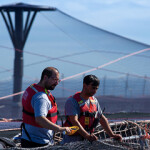 A Salmones Austral farm.