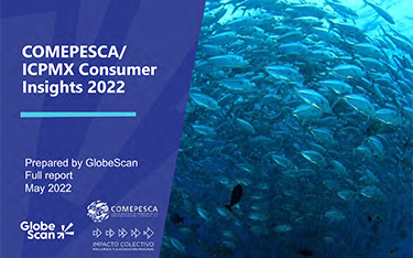 The Comepesca report cover