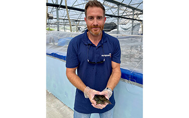 Europrawn Hellas General Manager of Aquaculture Albert Ferrer Lladosa.