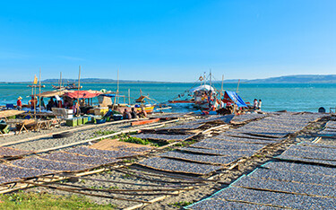 Fish drying on racks in the Philippines.