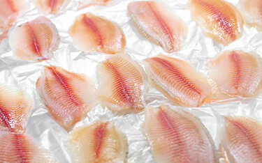 Pangasius fillets.