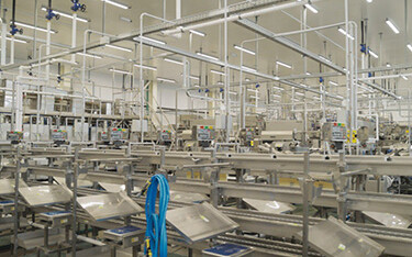 The interior of RK Lenina's new processing facility, dubbed "Kommandor"
