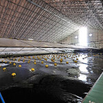 An indoor shrimp farm operated by IMT Engineering Company.