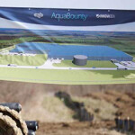 A banner showing the planned AquaBounty Technologies salmon RAS hung at Pioneer, Ohio construction site.