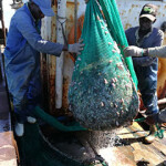 A photo of workers onboard a China Ocean Group fishing vessel.