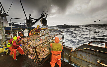 Alaskan crabbers at work.