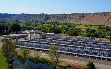 Riverence's farm in Idaho.