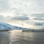 A Grieg salmon farm in Norway.