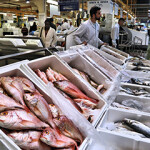 A variety of fish species on display at a London fish market.
