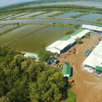 A SeaJoy shrimp aquaculture facility.