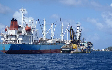 Tuna being transshipped in Majuro, Marshall Islands.