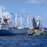 Tuna being transshipped in Majuro, Marshall Islands.