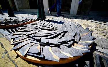 Shark fins on display.