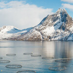 SalMar aquaculture operations.