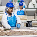 A Thai Union tuna factory.