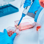 A cell-cultured food lab