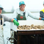 The co-owners of Cranberry Oysters, an oyster-farming operation in Maine.