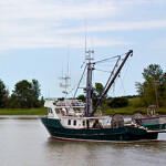 A salmon fishing boat on the Fraser River in British Columbia, Canada.