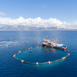 Aquaculture net pens located in the Mediterranean Sea.