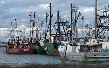 A group of fishing boats at a dock in New Jersey