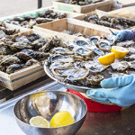 Oysters on a plate with lemons!