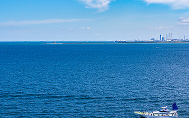 Tokyo fishing bay