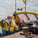A Dorset U.K. fisherman unloading his catch.