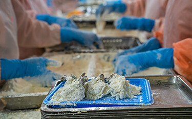 Breaded shrimp being prepared in Vietnam.