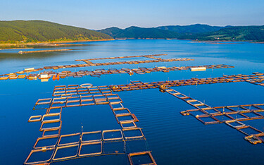 An aquaculture farm in Bulgaria