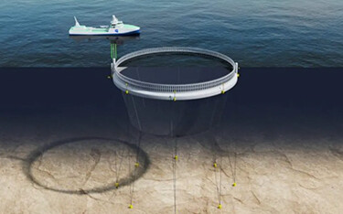 Grieg's Blu Farm concept.