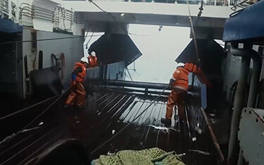 A group of workers on board a Norebo fishing vessel
