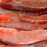 A pile of red snapper fish.