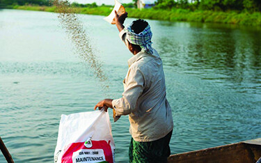 A worker in India tosses fish feed into an aquaculture pond.